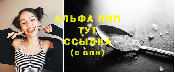 прущие грибы Балабаново