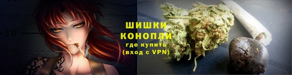 прущие грибы Балабаново