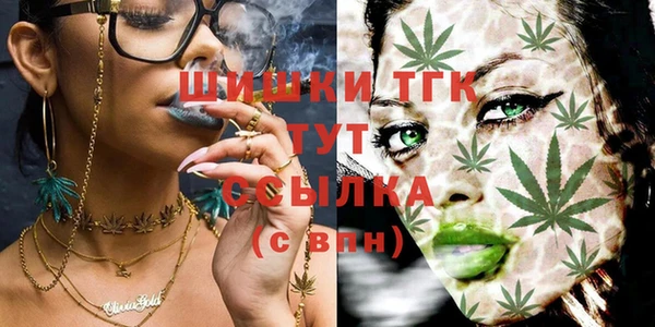 прущие грибы Балабаново