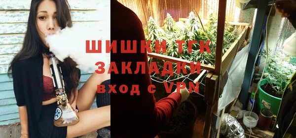 PSILOCYBIN Баксан