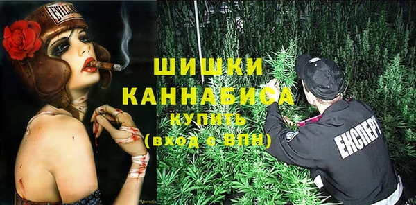 ГАЛЛЮЦИНОГЕННЫЕ ГРИБЫ Балахна