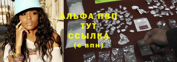 прущие грибы Балабаново