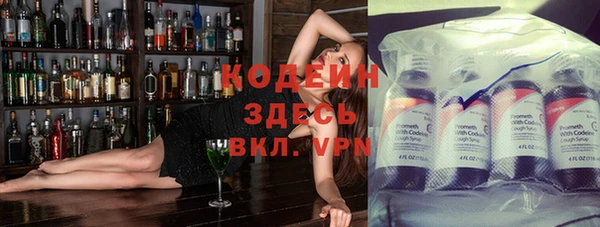 прущие грибы Балабаново